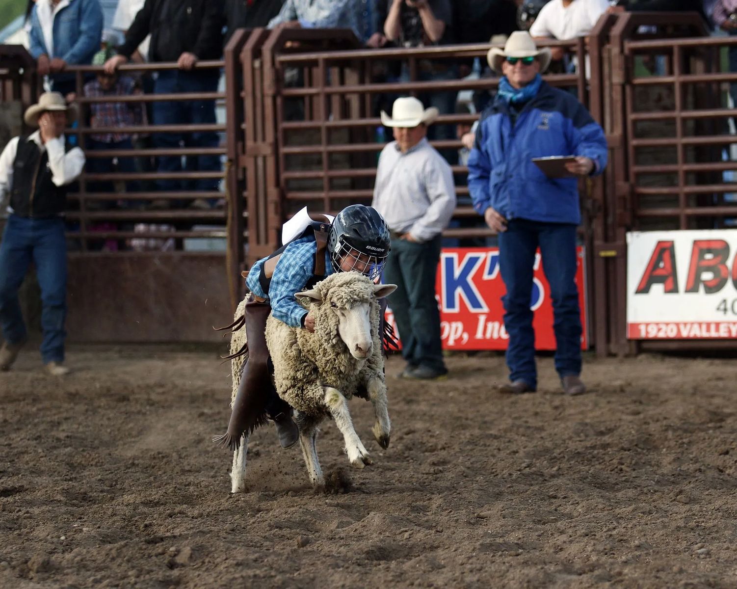 The World Famous Bucking Horse Sale