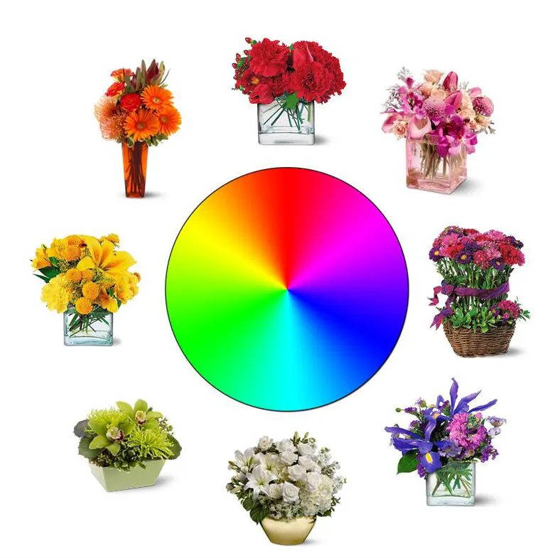 Color Flower Power