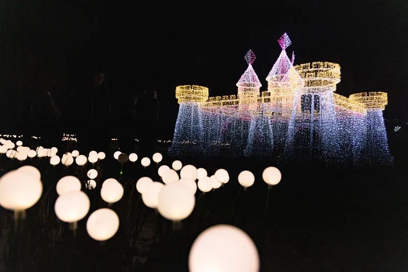 Holiday Nights Lights Up the Night