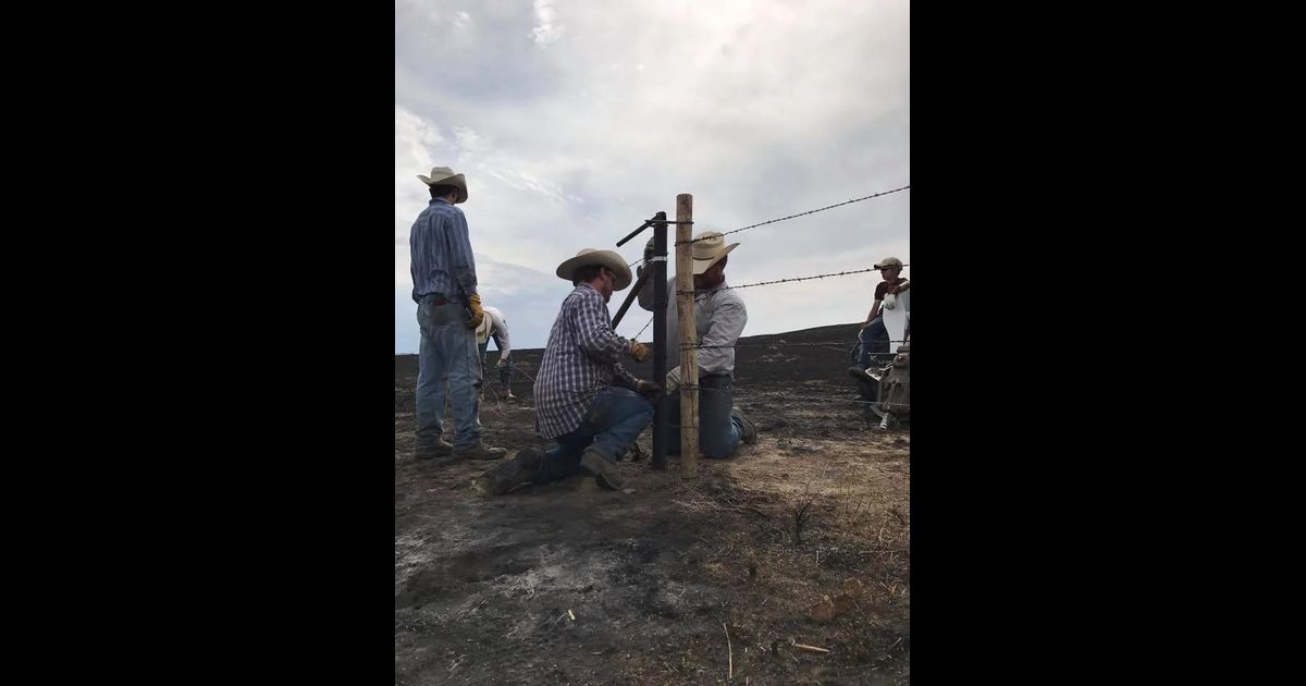 The Lodgepole Complex Fire After the Ashes