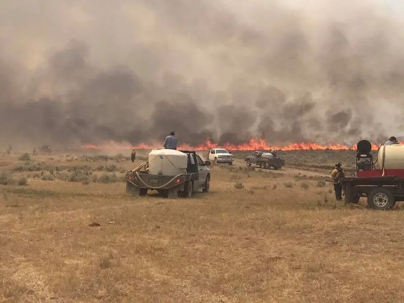 The Lodgepole Complex Fire After the Ashes
