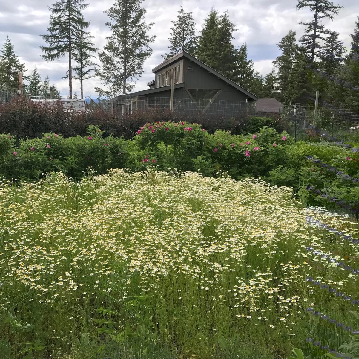 Spiritworks Herb Farm